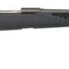 Buy Savage 10/110 Hunter 25-06 Remington, 22" Barrel,, , AccuFit Gray Stock, 4 rd