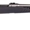 Buy Savage 10/110 Storm 22-250 Remington, 22" Barrel, Stainless Steel,, , AccuFit Gray Stock, 4 rd