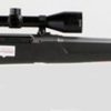 Buy Savage Axis II XP 22-250 Remington, With 3X9X40 Scope, 22" Barrel, Stainless Steel,, Synthetic, Black, 4 rd