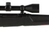 Buy Savage Axis XP, .223 Rem, 22", 4rd, 3-9x40mm Weaver Scope, Black