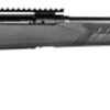 Buy Savage 10/110 Prairie Hunter .224 Valkyrie, 22" Barrel, AccuFit Gray Stock, Black, 4rd