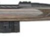 Buy Mossberg MVP Predator 20" 308 Win/7.62 NATO, Laminate Stock Blued, 10 rd