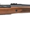 Buy Mossberg Patriot .450 Bushmaster, .20" Threaded Barrel, 5rd, Walnut