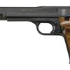 Buy Smith & Wesson 41 22LR, 7", Adjustable Sight Wooden Target, Thumbrest Grip Blue, 10rd