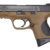 Buy Smith & Wesson M&P Compact .40 SW, 3.5" Barrel, Ambi Slide stop Flat Dark Earth, Polymer Frame, 8rd