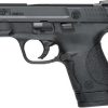 Buy Smith & Wesson M&P9 Shield 9mm, 3.1",, , Night Sights, 8 rd