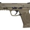 Buy Smith & Wesson M&P 45 ACP, 4.6", Flat Dark Earth, Truglo Night Sights, 10rd