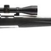 Buy Browning X-Bolt Stainless Stalker 6.5 Creedmoor 22" Barrel 4 Rnd