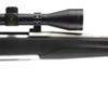 Buy Browning X-Bolt Stainless Stalker Bolt 22-250Rem 22" Barrel, Black Synthetic Blued, 4rd