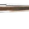 Buy Browning X-Bolt White Gold .270 WSM, 23" Barrel, Gloss Walnut, Rose Stock, Stainless Steel,, rd, 3 rd