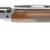 Buy Browning Silver Hunter Micro Midas 20 Gauge 24 Inch Barrel Gloss Blue Finish 3 Inch Chamber Walnut Stock Satin Finish 4 Round