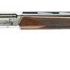 Buy Browning Maxus 12 Ga, 30" Barrel, 3" Chamger, Walnut Stock, Nickel/Blued