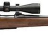 Buy Browning A-Bolt III Stalker Combo, .300 Win Mag, 26", 3rd, Nikon Buckmaster II BDC Scope