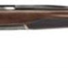 Buy Browning X-Bolt Hunter, 6.5 Creedmoor, 22", 4rd, Walnut Stock, Blued