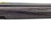 Buy Browning X-Bolt Eclipse Varmint Bolt 22-250 Remington 26" Barrel, Laminate Thumbhole Gray Stock Gray Stainless Steel, 5rd