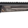 Buy Browning Buck Mark Varmint 22 LR, 10.25" Barrel, Suppressor Ready