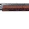 Buy Remington 1100 20 Ga, 28" Barrel, 2.75", Satin Walnut Blue