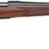 Buy Remington 700 CDL Bolt 243 Winchester 24, Satin Walnut Stock Blue, 4 rd