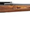 Buy Remington 783 Varmint Bolt 22-250 Winchester 26" Heavy Barrel Brown Laminate Stock, Beavertail Forend