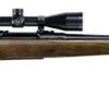 Buy Remington 783 Combo Package 308 Win/7.62mm 22" Barrel, W/Vortex Scope 4rd