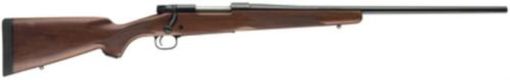 Buy Winchester M70 Sporter Bolt 325 WSM 24" Barrel, Grade I Walnut Blued, 3rd