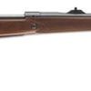 Buy Winchester M70 Safari Express Bolt 375 H&H Mag 24" Barrel Grade I Walnut Stock