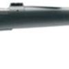 Buy Winchester Model 70 Extreme Weather .270 Winchester 22" Stainless Steel Fluted Barrel Bell and Carlson Premium Composite Stock Gray Matte Textured Finish No Sights 5rds