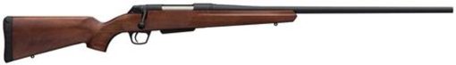 Buy Winchester XPR Sporter, .243 Win, 22", 3rd, Turkish Walnut Stock, Blued