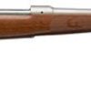 Buy Winchester Model 70 Featherweight 7mm Rem Mag, 24" Barrel, Grade I Walnut Stock, Stainless Steel, 3rd