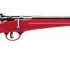 Buy Savage Rascal, 22 LR, 16.125" Barrel, Blued, Red Polymer Stock, Single Shot, AccuTrigger, Adjustable Sights