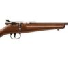 Buy Savage Rascal Single Shot Youth .22, 16.1" Barrel, Hardwood Stock