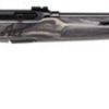 Buy Savage A22 Target .22 LR, 22" Barrel, Black Laminate Thumbhole Stock, 10rd