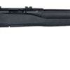 Buy Savage B22 F Bolt 22 LR (LR) 21" Barrel, Synthetic Black Stock Black, 10rd