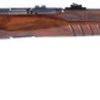 Buy Savage B17 G 17 HMR, 21" Barrel, Walnut Stock Black, 10rd