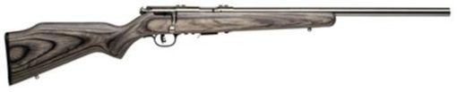 Buy Savage 93R17BVSS 17HMR Laminate