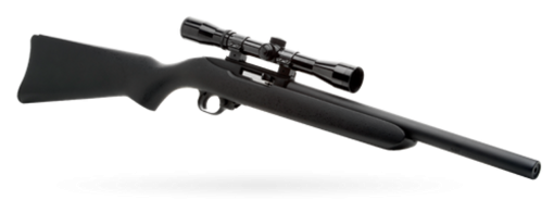 Buy AWC Ruger 10/22 Blued with Ultra 13 Removable Core Suppressor with Hogue Stock