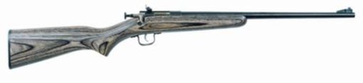 Buy Keystone Crickett 22LR, 16.5", Laminated Blue