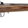 Buy Keystone Crickett 22LR, 16.12", Brown Laminate, Blued