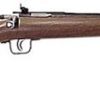 Buy Keystone Crickett 22LR,16.12", American Walnut Blue, Davey Cricket