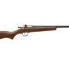 Buy Keystone Davey Crickett Model 338 Youth .22 Winchester Magnum 16.125" Barrel Blue Finish Walnut Stock