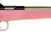 Buy Keystone Crickett 22LR, 16.12", Pink Synthetic Stock, Stainless Steel