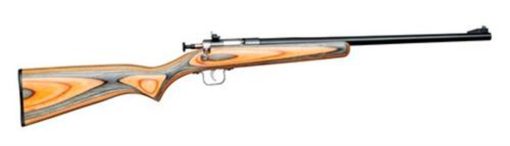 Buy Keystone Crickett 22LR Blued/Black-Orange Laminate