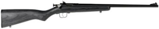 Buy Keystone Sporting Arms, Crickett, Gen 2, Youth, Bolt Action, Single Shot Rifle, 22 LR, 16.125" Barrel, Blue Finish, Black Laminate Stock, Adjustable Sights