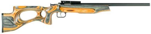 Buy Keystone Crickett 22LR, 16.125", Laminate Thumbhole