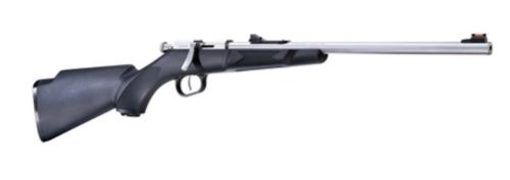 Buy Henry Mini Bolt Youth Bolt 22 LR 16.25" 1 Synthetic Stock SS