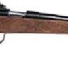 Buy Keystone Crickett Chipmunk Bolt 22LR 16" Barrel, Walnut Stock