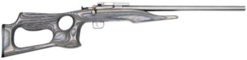 Buy Keystone Davey Crickett Chipmunk 22LR 16" Bull Barrel SS Finish Barracuda Style Black Laminated Thumbhole Stock