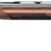 Buy Benelli Montefeltro Sporting 12g 30" Ported Barrel, Satin Walnut Stock