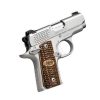 Buy Kimber Micro Raptor Stainless Finish 380 ACP