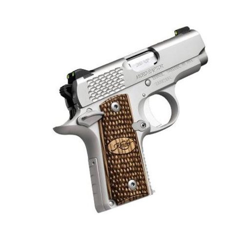 Buy Kimber Micro Raptor Stainless Finish 380 ACP